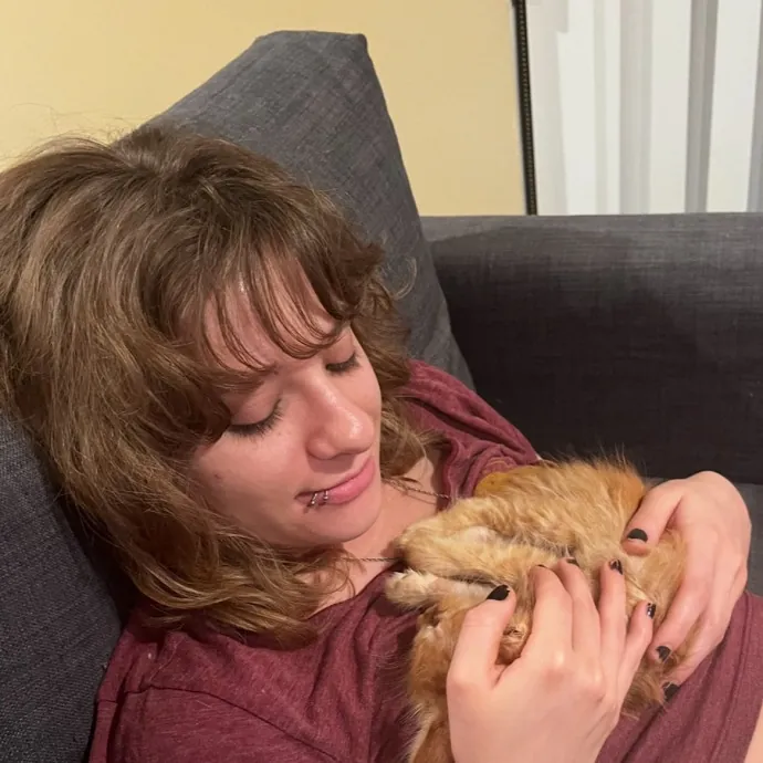 Adventures In Cat Sitting
