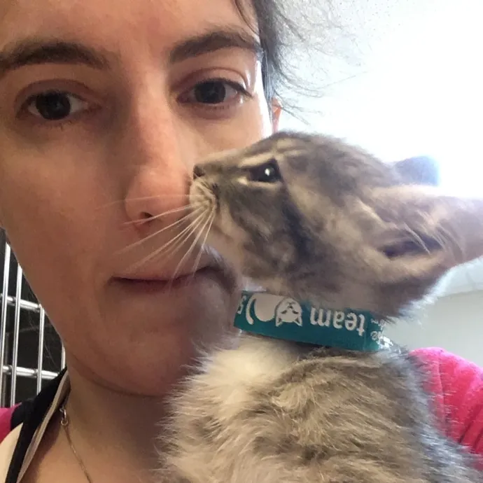 Your Cat's New Best Furriend