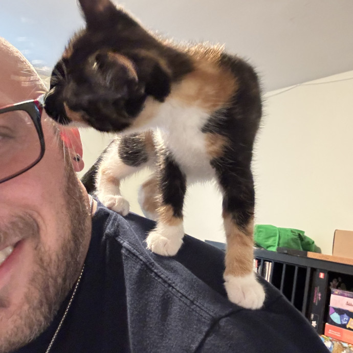 Kyle's Kitty Care