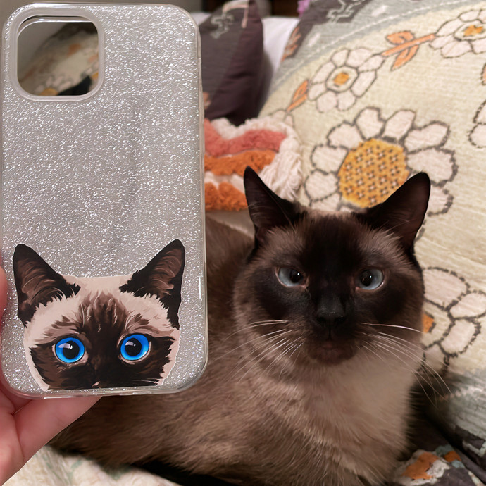 Farah's Purrfect Cat Sitting photo 3