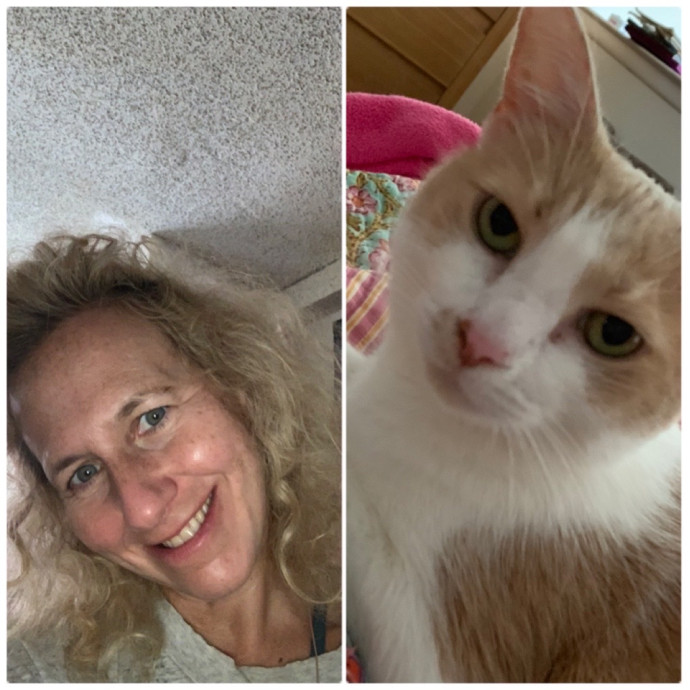 Kristin's Fit And Happy Cats