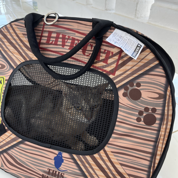 Kristin's Fit And Happy Cats