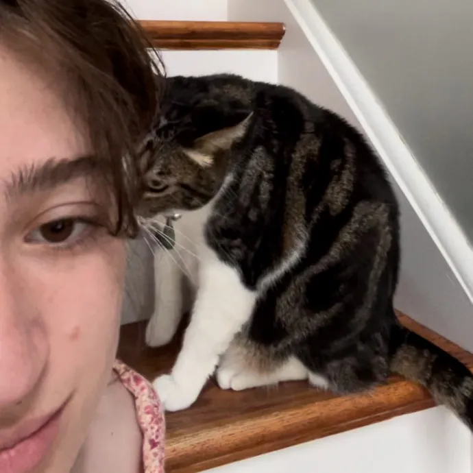 Loving And Devoted Cat Sitter