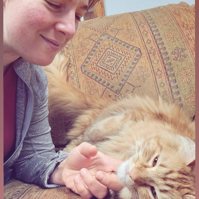 Purrfectly Grounded Cat Care By Aleah