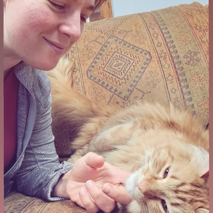 Purrfectly Grounded Cat Care By Aleah