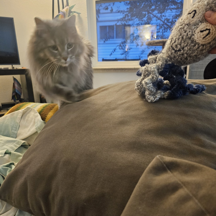 Purrfectly Grounded Cat Care By Aleah