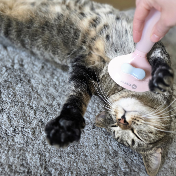 Purrfectly Grounded Cat Care By Aleah