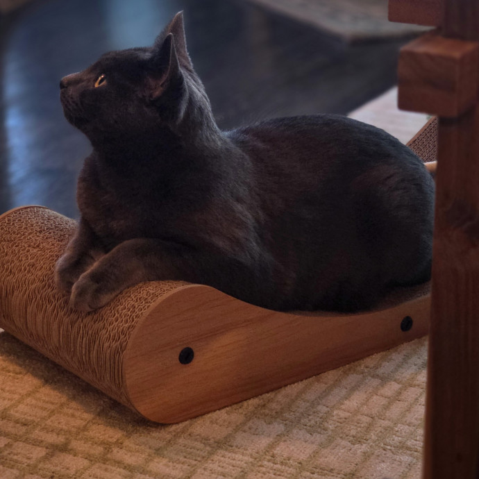 Purrfectly Grounded Cat Care By Aleah