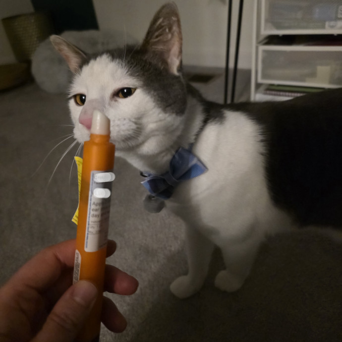 Purrfectly Grounded Cat Care By Aleah
