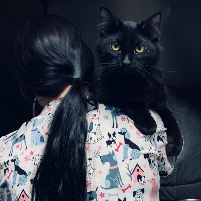 Friend Of Felines