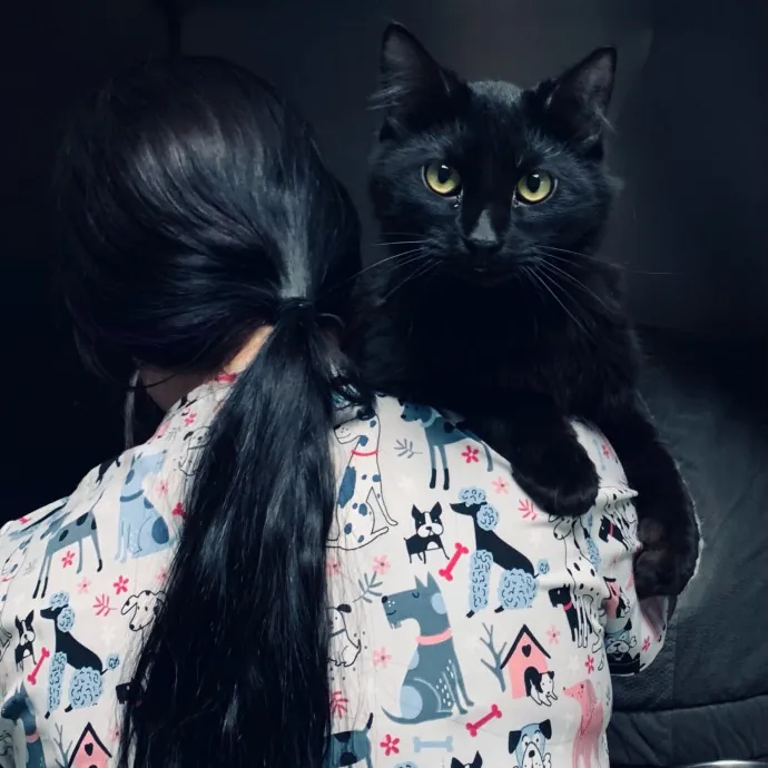 Friend Of Felines