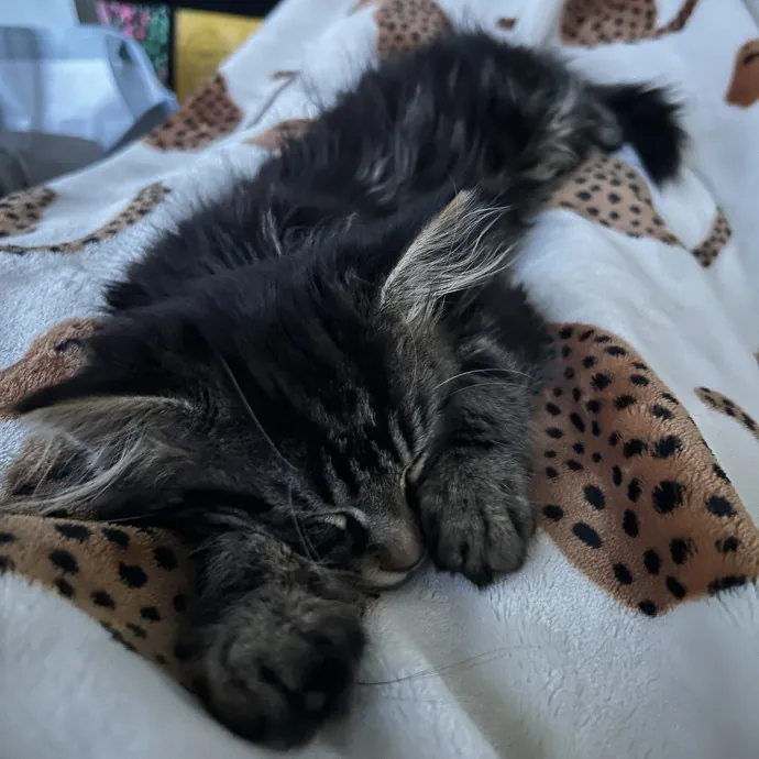 Emma B.