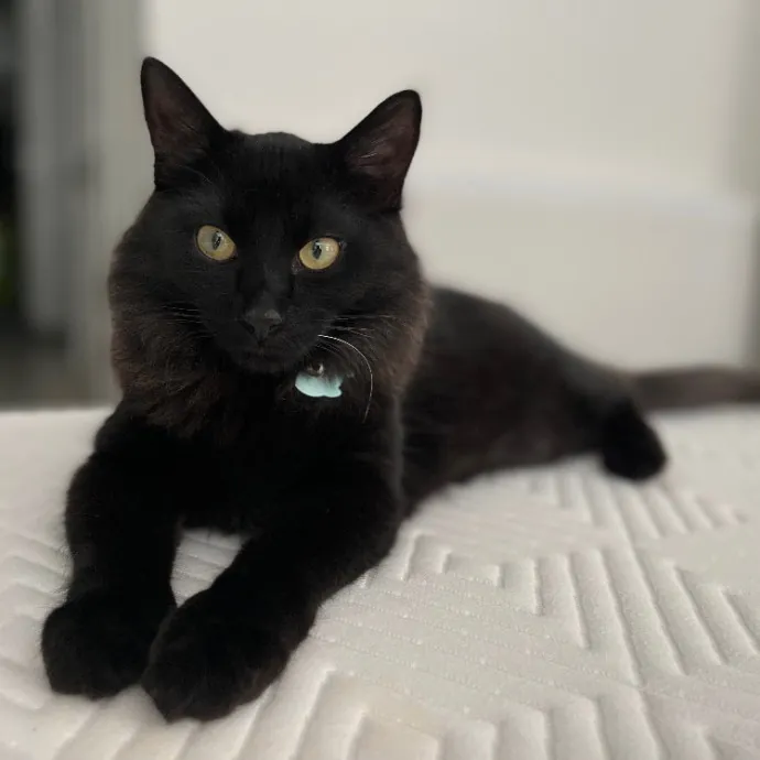 Adriana Stress-Free Care