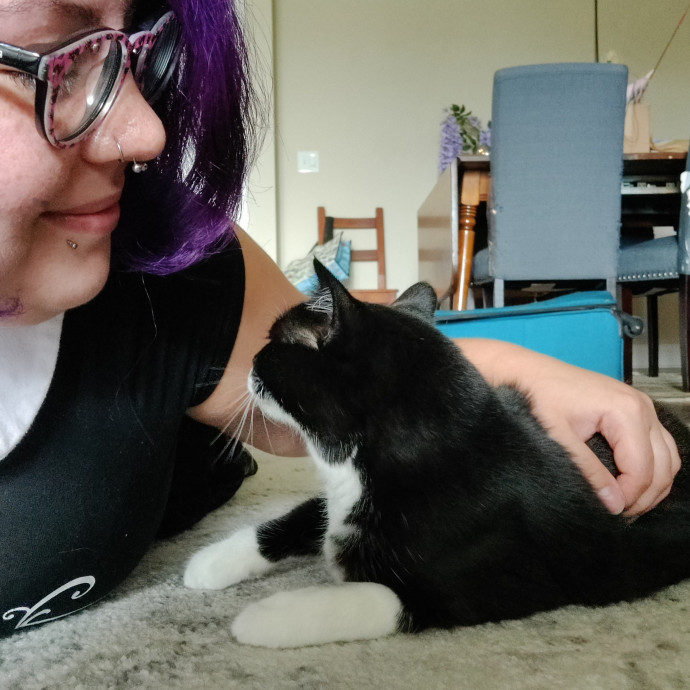 The Kat's Meow - Cat Sitter Kannapolis