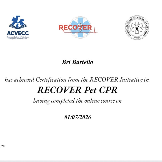 Professional Compassionate Reliable