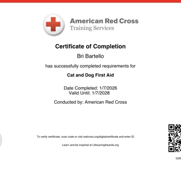Professional Compassionate Reliable