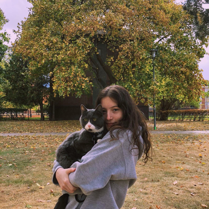Professional Cat Lover