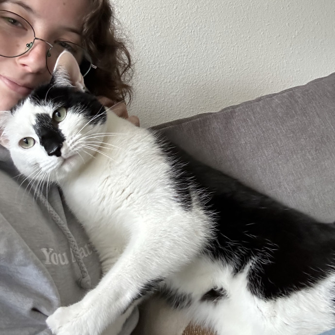 Professional Cat Lover