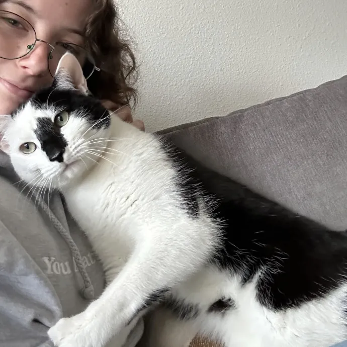 Full-Time Catsitter