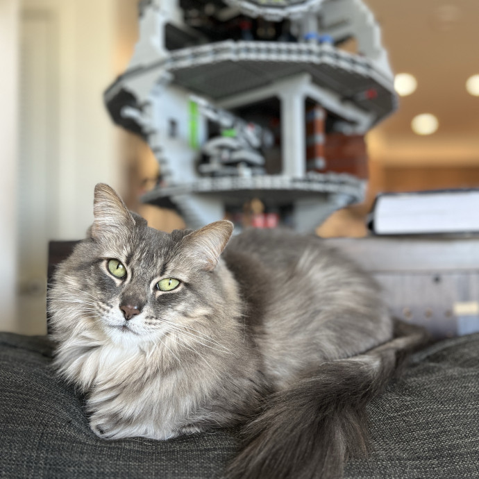 Serving Fuzzy Overlords Since 2009 photo 2