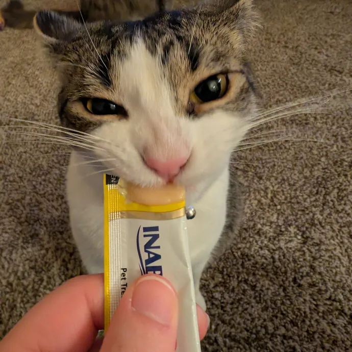 Puurfectly Content Cat Care