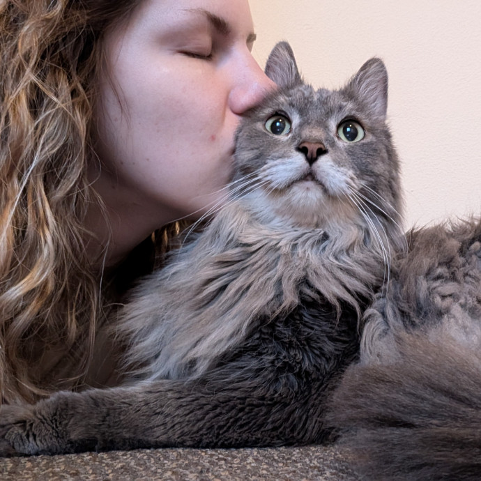 Puurfectly Content Cat Care photo 3