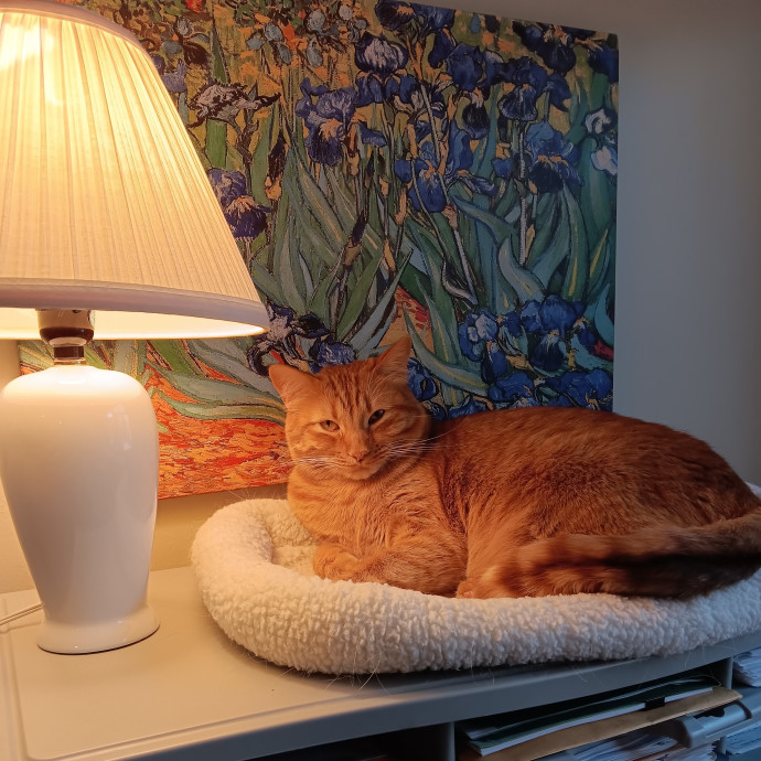 Sittin Kitties