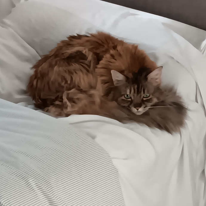 Sittin Kitties