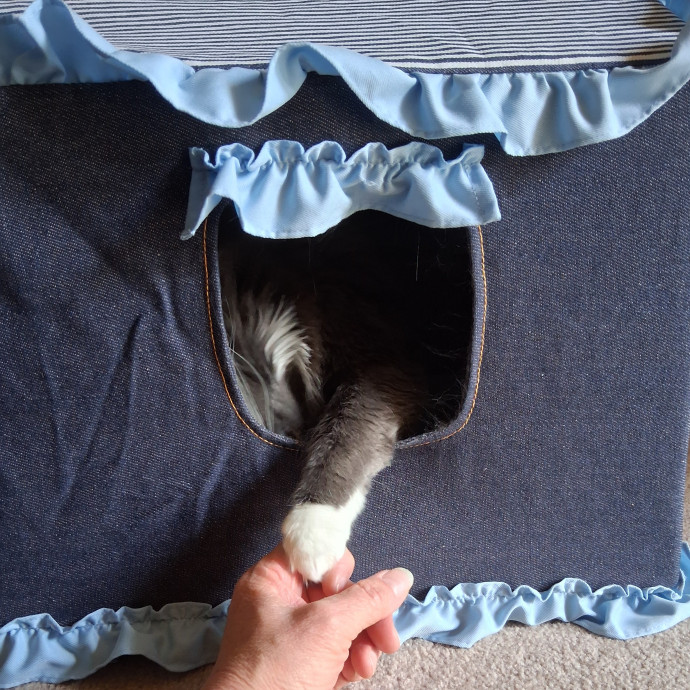 Sittin Kitties photo 3