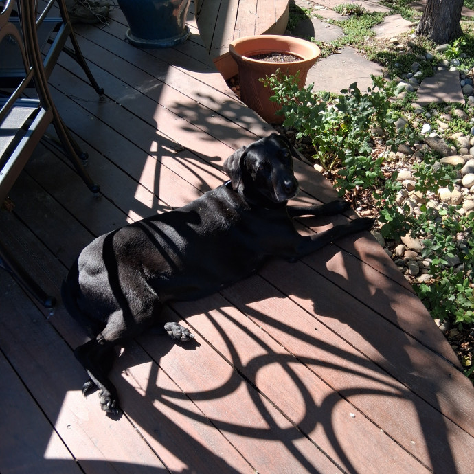 Sittin Kitties photo 2
