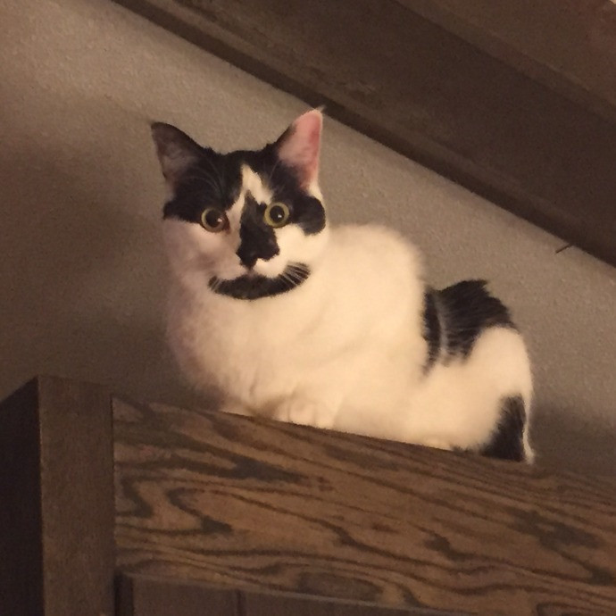 Susan's Sit And Snuggle