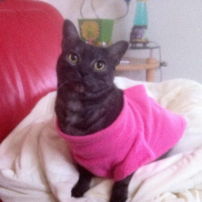 Susan's Sit And Snuggle