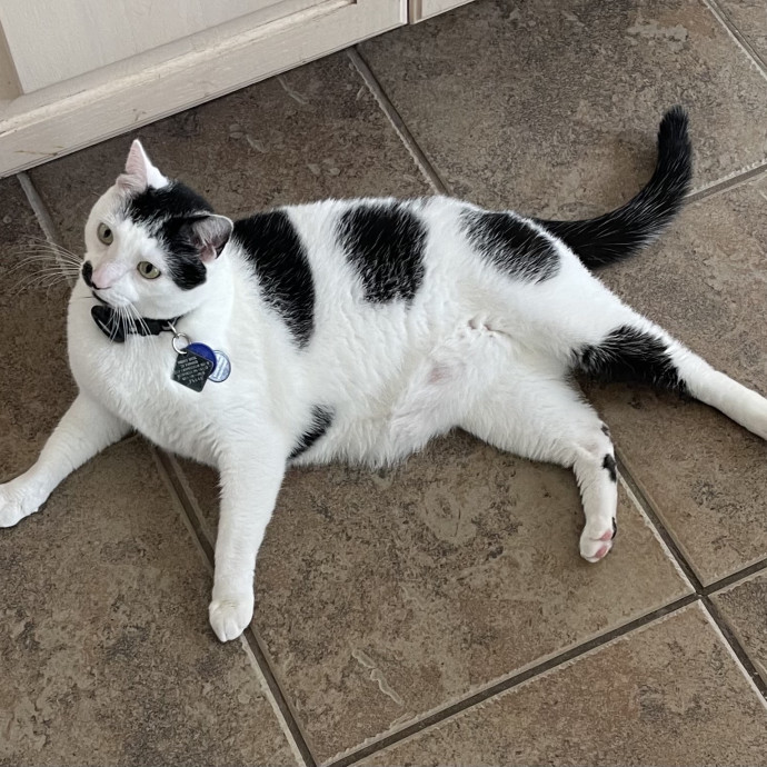 Susan's Sit And Snuggle