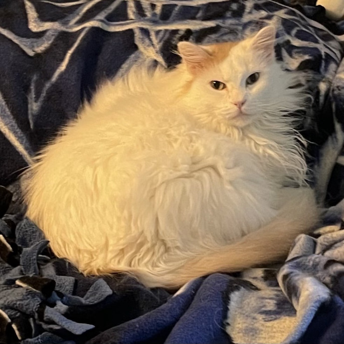 Susan's Sit And Snuggle