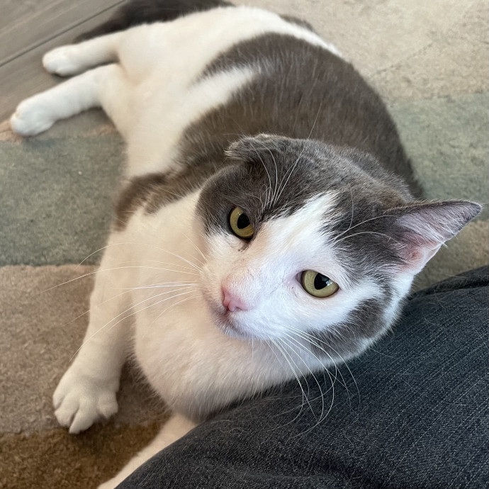 Susan's Sit And Snuggle