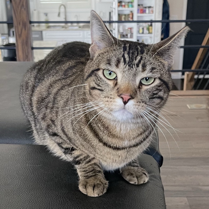 Susan's Sit And Snuggle