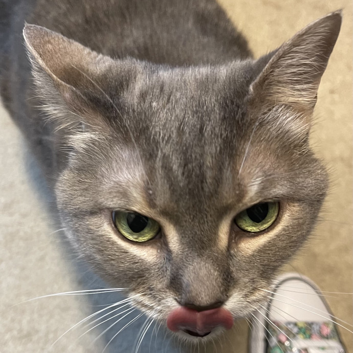 Susan's Sit And Snuggle
