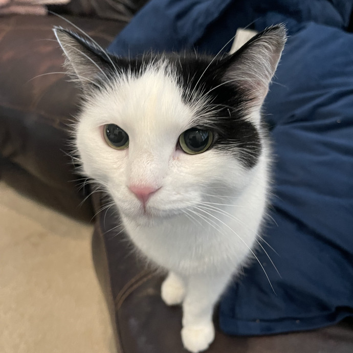 Susan's Sit And Snuggle