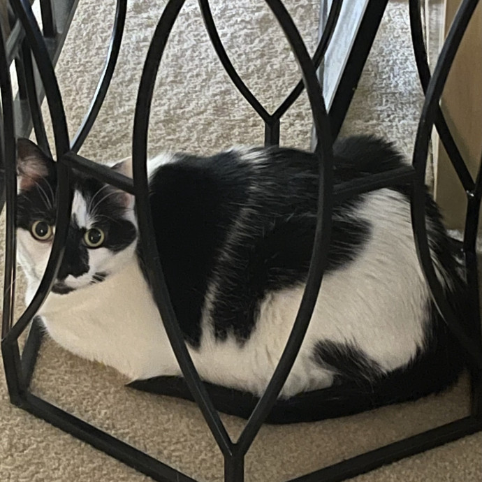 Susan's Sit And Snuggle