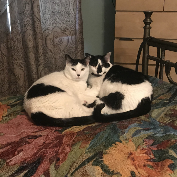 Susan's Sit And Snuggle photo 2