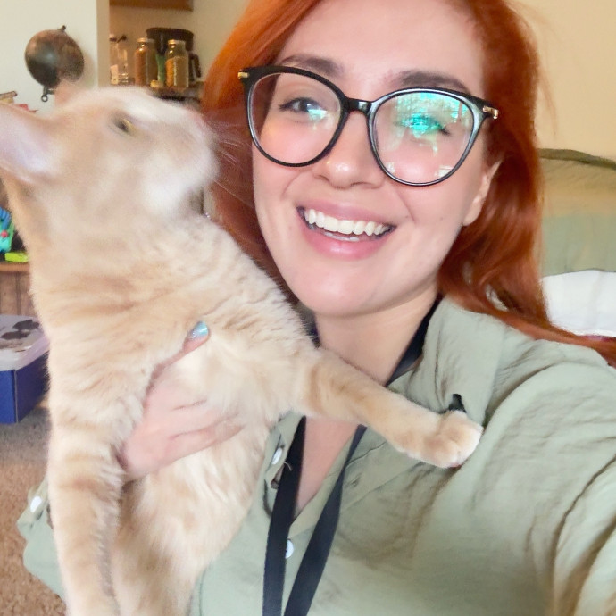 Ready To Take Care Of Your Feline Friend