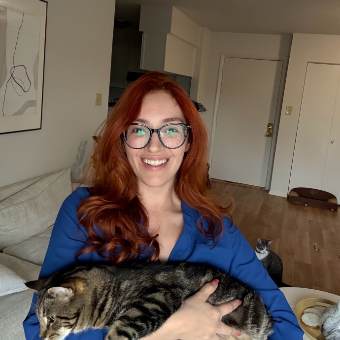 Ready To Take Care Of Your Feline Friend