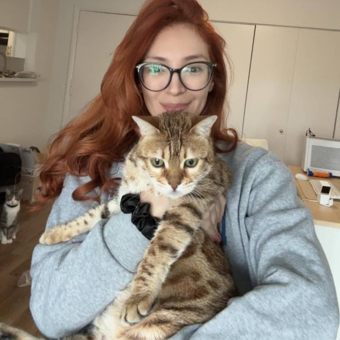 Ready To Take Care Of Your Feline Friend