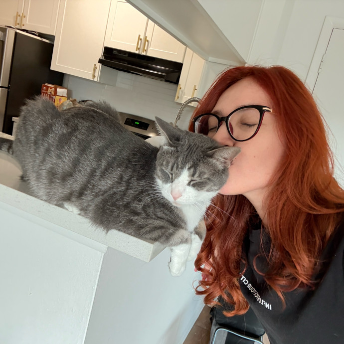 Ready To Take Care Of Your Feline Friend
