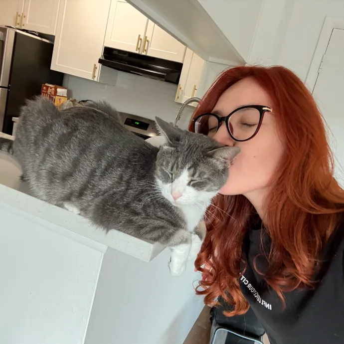 Ready To Take Care Of Your Feline Friend