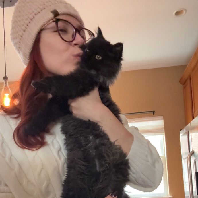 Ready To Take Care Of Your Feline Friend