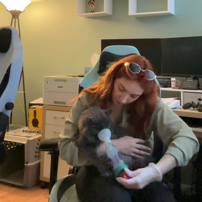 Ready To Take Care Of Your Feline Friend