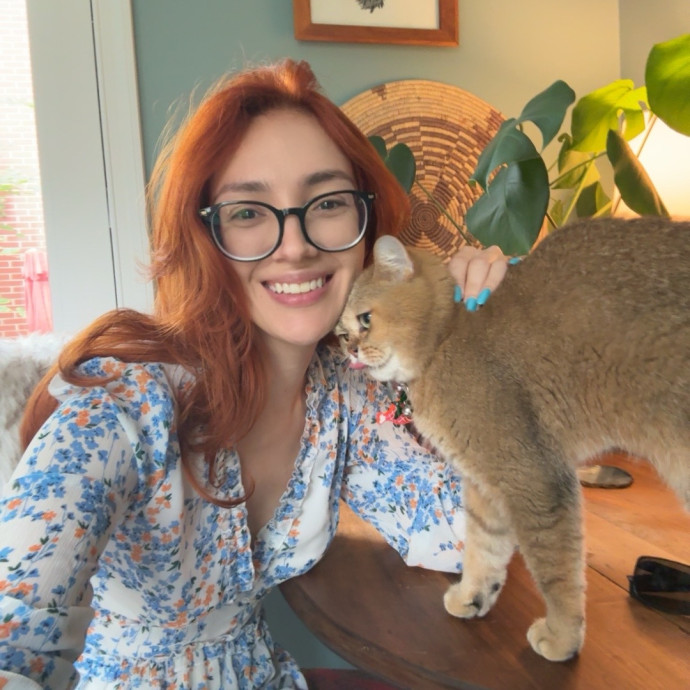 Ready To Take Care Of Your Feline Friend