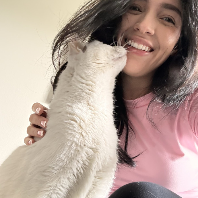 Ready To Take Care Of Your Feline Friend