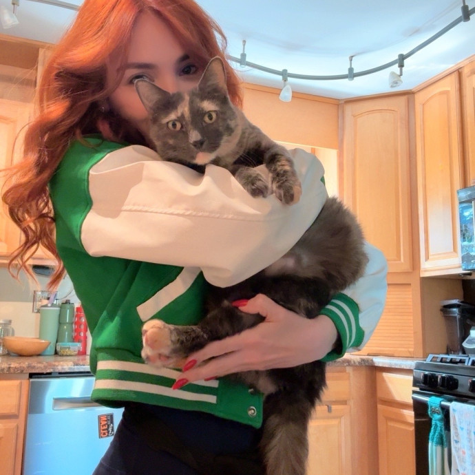 Ready To Take Care Of Your Feline Friend photo 3